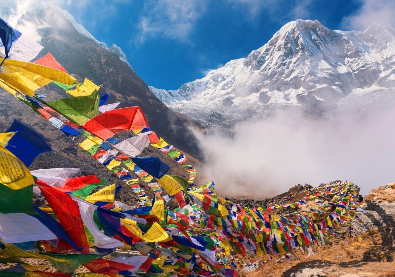 Namaste Travels — Web Development project by WebTech Solutions